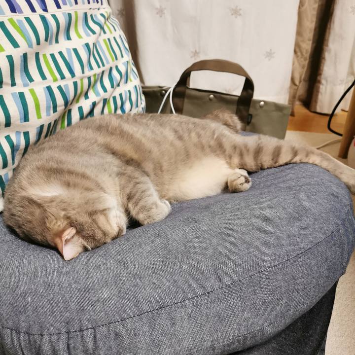 41e00ffd 401e 46a8 a03c b062530c2308 1651847064726