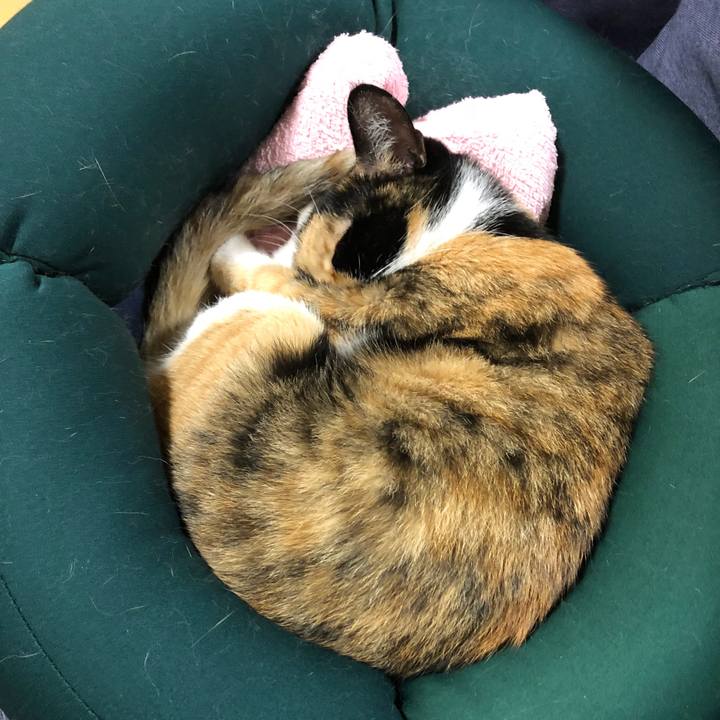 41e03f00 15e3 4b60 855b 4bc1c6cba702 1539599246161