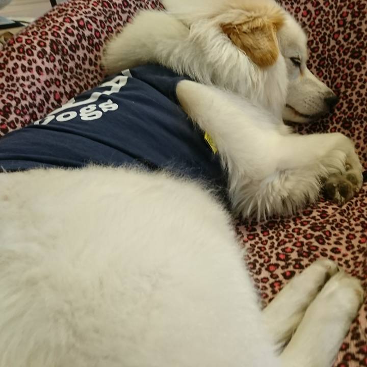 41e0642f 0f8a 47c8 a726 cb0eca055370 1661735510582