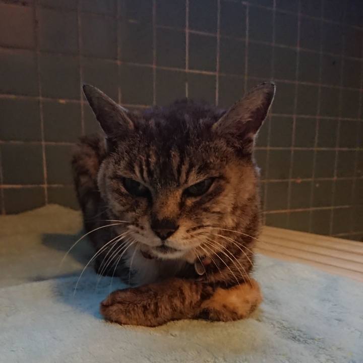 41e08339 40d4 4b7f a9ac 3a0b308f29d9 1597398085495