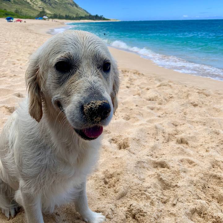 41e0cb72 61ba 4e91 93ab bffba361e706 1564285333190