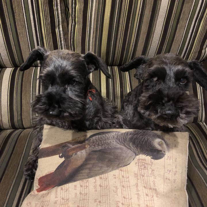 41e0e155 c37a 4e88 a8cc d3812c18ae40 1584958737188