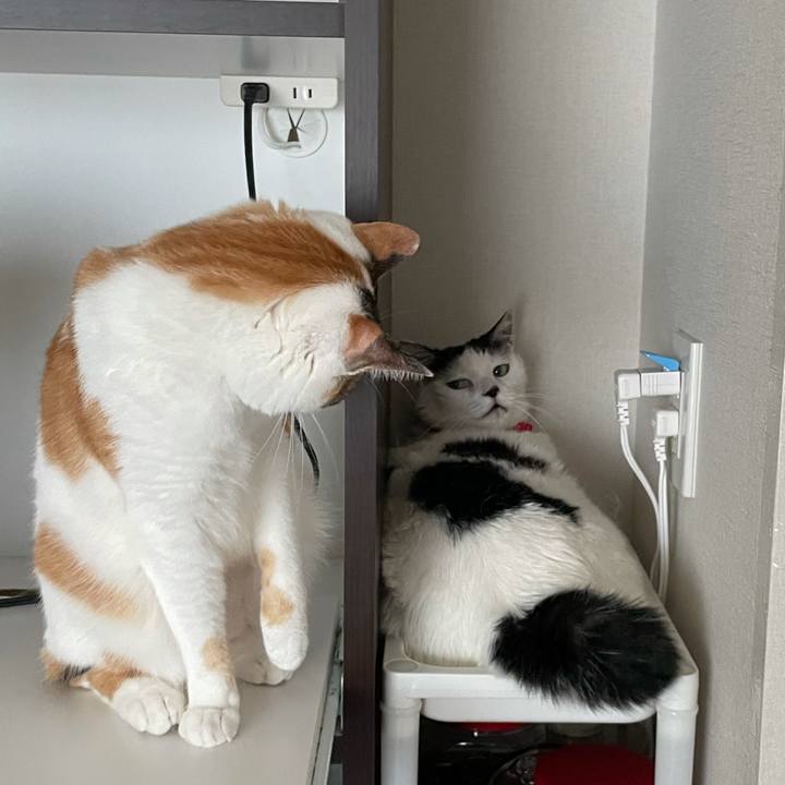 41e0f365 5870 4d6e 9e0b 68e88efa3f8e 1624410509779