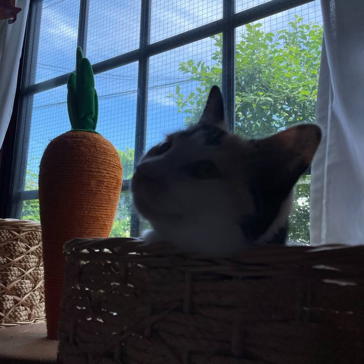 41e0f428 d3fc 40c5 b440 2192539191dc 1716181997051