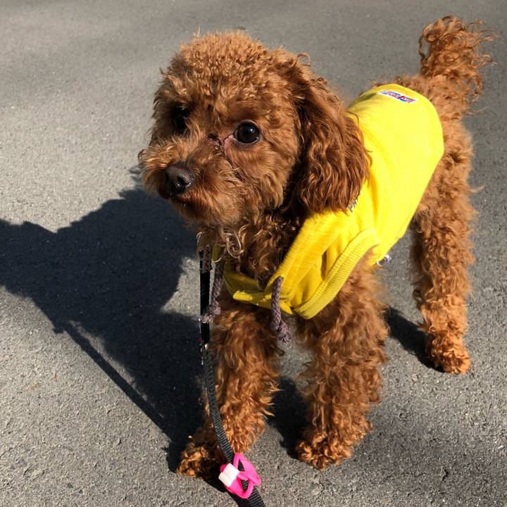 41e10ef7 a4ab 400f 8f26 cd96dc4375da 1520661770082