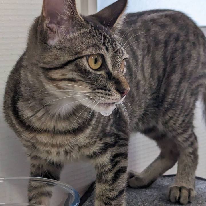 41e13bb3 36ed 45d0 8cf8 928bff48556a 1706241460983