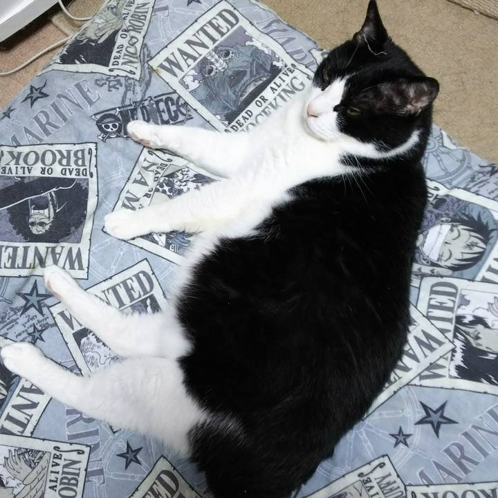 41e15bd9 03ed 4217 8b2c ff384c2bf3bc 1529153082877