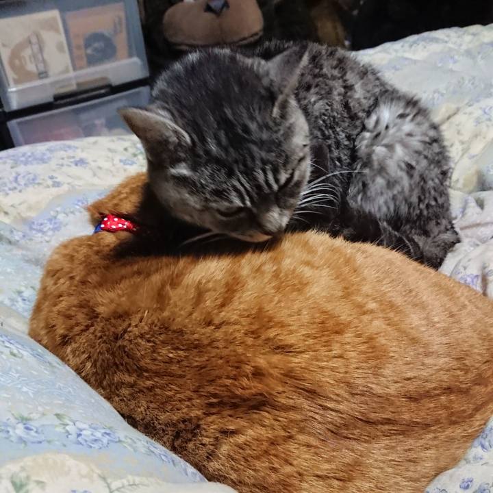 41e16122 24ce 41aa 9c59 234b9a63a8c9 1576583266607