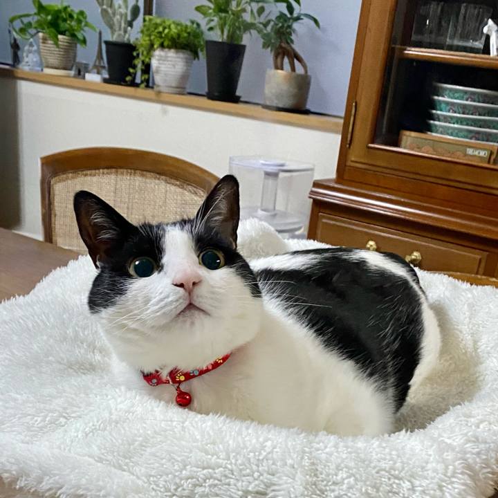 41e161f4 935a 4c50 adfe 4c7f3ae5aafa 1647600792417