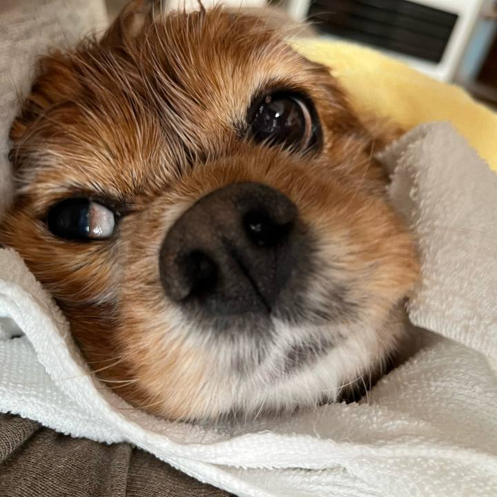 41e16bfd 708a 4f6d 99bf 4cf596c81862 1773020720045