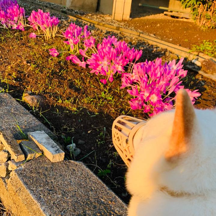 41e18e7e 04eb 4863 8831 8fad841b1e68 1602195415700