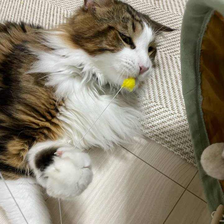 41e21d2f 1a84 4e81 9285 cbc5a64d1bcb 1649852599739