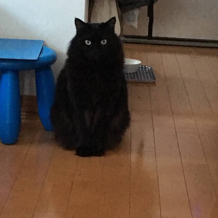 41e2283d 358f 4d18 838e 51a839436ae6 1514789062369