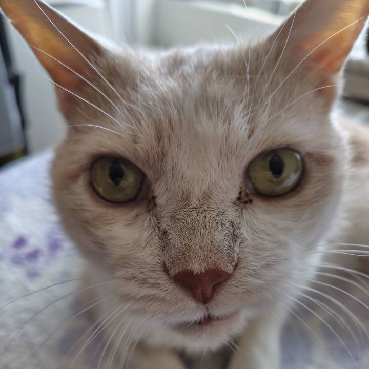 41e233e9 eaab 4827 909d 59d8e51ac8b6 1725838828632