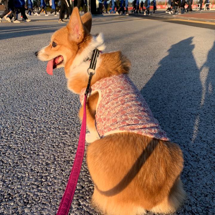 41e2759a d92d 4116 b80e 44ef23785572 1573982784757