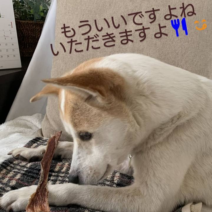 41e28e40 1783 4ab0 b3e2 fdb30b6c0304 1611625942794