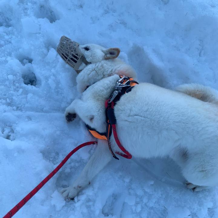 41e2b0ff bf84 4ce4 8a7b 9aa4341938d3 1638160658418