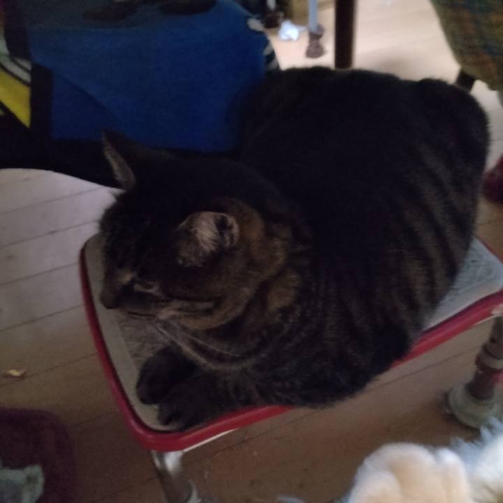 41e2be7f 1d5c 4a8f 90e5 f464c74c4cae 1671927205397