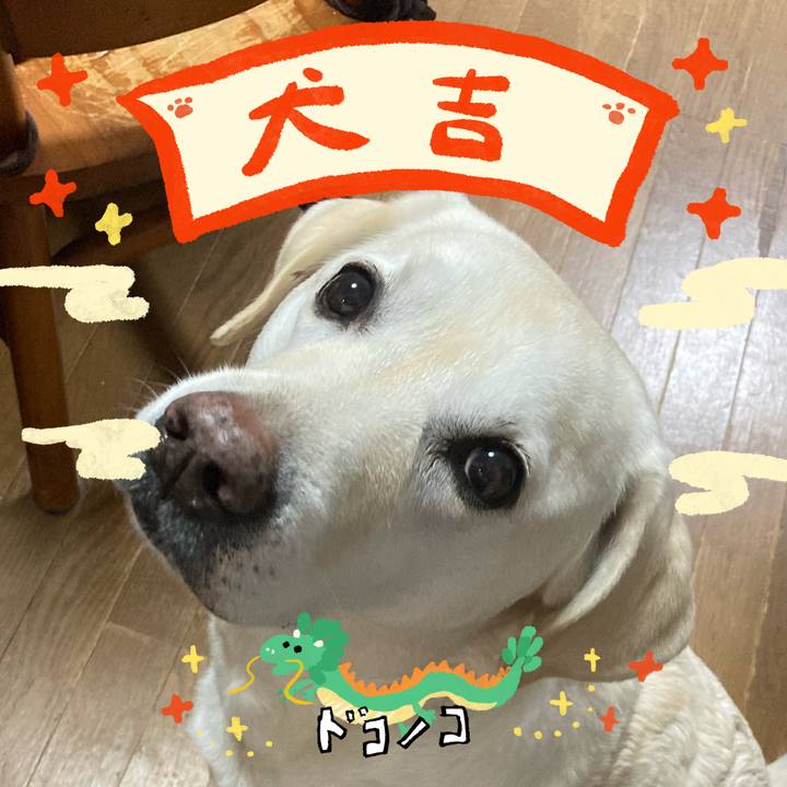 41e2cc30 67f7 46ab 9340 6a6018f780d7 1704612776515