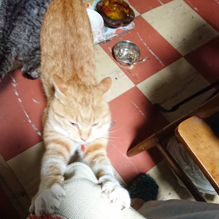 41e2d882 36f0 494b be0a 147b262d9808 1573588143599