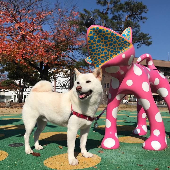 41e2dc69 9f64 4724 9edd 3699fcb7b9a6 1509674973872