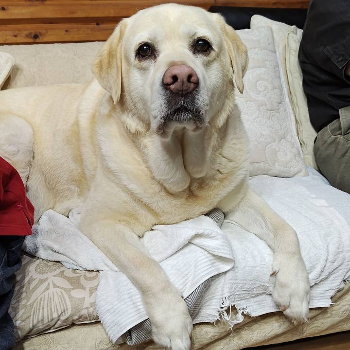 41e2e706 c911 471b bb7e 83a875a50573 1745063201693