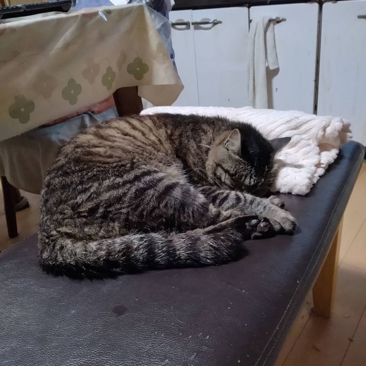 41e31d1b e3c3 48a5 af31 228f8cfdeb0b 1720994904093