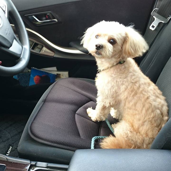 41e31d8c 0bcd 40d1 bf6e 7d883334cdb9 1565319444463