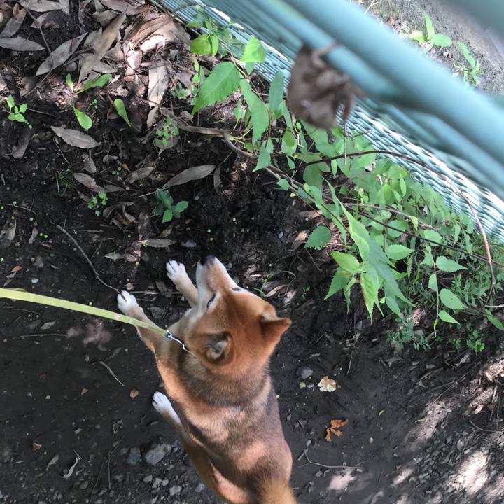 41e33cbc d87f 4b10 8d81 d862ad22ec09 1564019682073