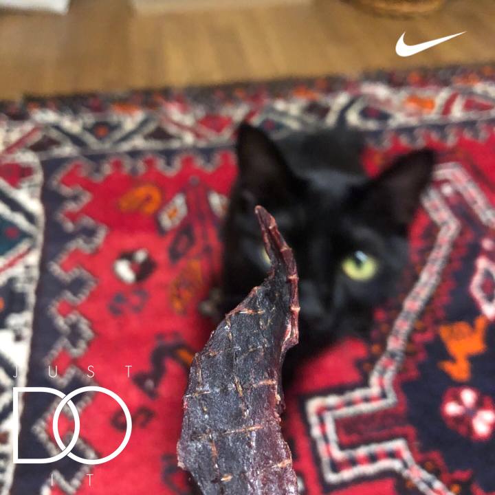 41e35e09 cc61 4459 899e cac9b4ad34d1 1657464666133