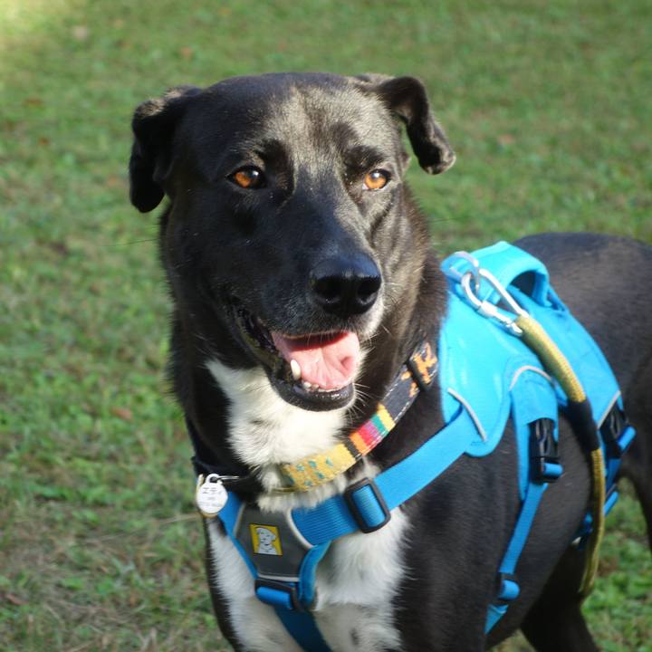 41e37af6 e429 4394 bfcc 3ef45ab50782 1603670500673