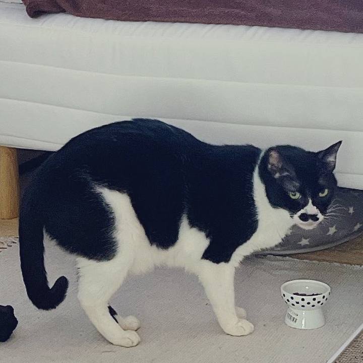 41e38b1b 8f71 4799 a87a f0ba93c4f665 1661693916682