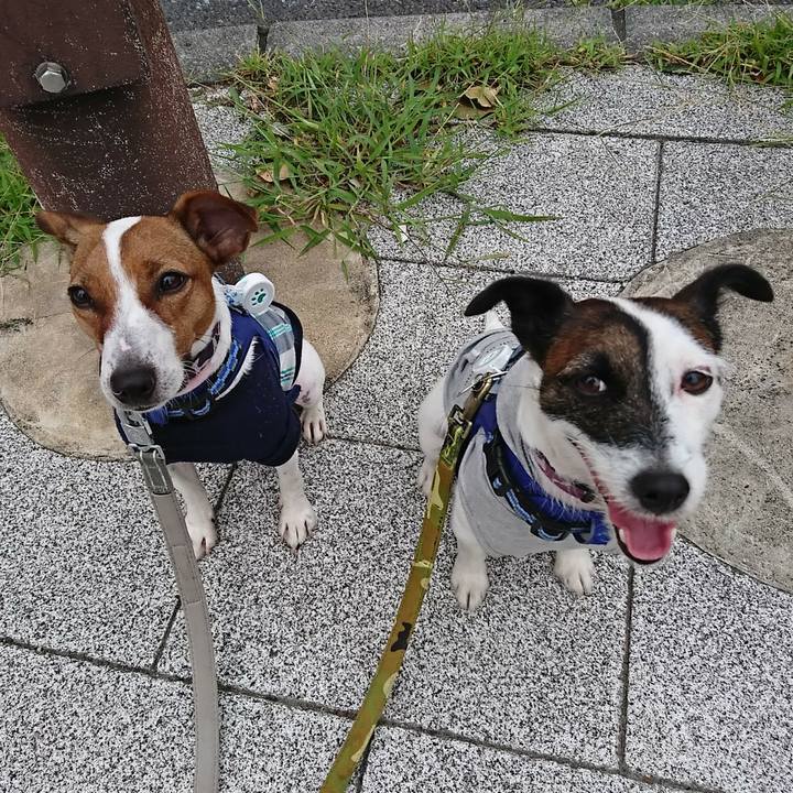 41e3aa07 4409 4c1c 8e2e 9aac794e8fb1 1534714475633