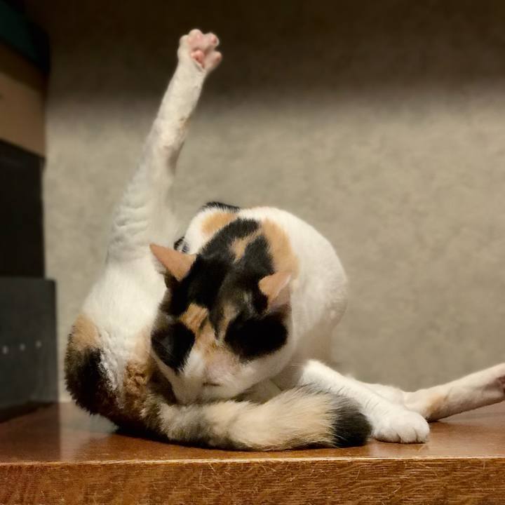 41e3aec3 50eb 468a a738 7a9988046595 1537800645762