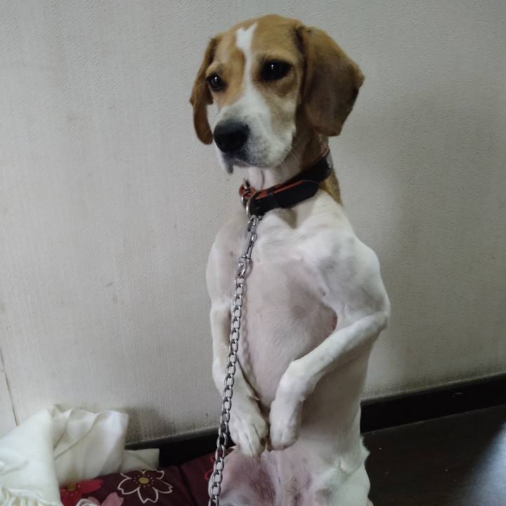 41e3ff27 debf 42ae 93d6 ec67b1ed2c8b 1636348023522