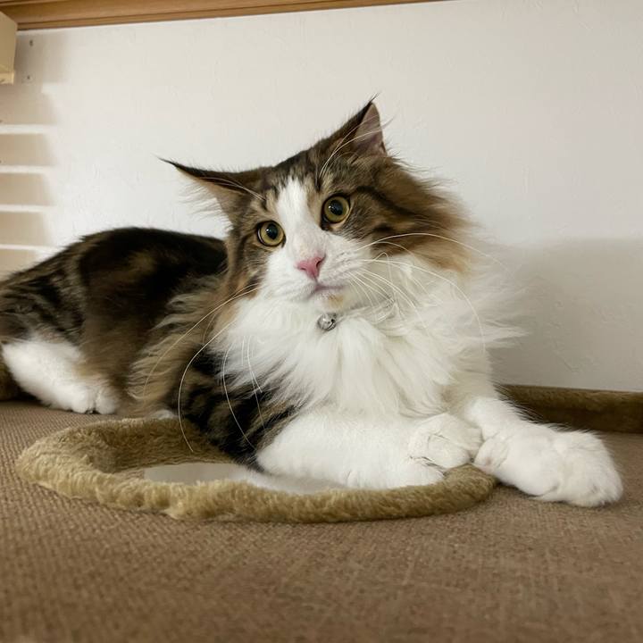 41e43214 c8e2 4661 9220 0ed2903f1d31 1642623549948