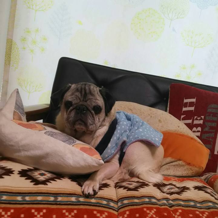 41e44af2 438f 4898 a31c 127072254030 1546692251298