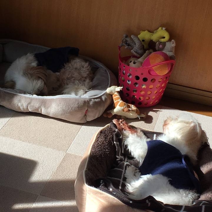 41e45861 0699 48fe bfa5 9223c1cafded 1637283670626