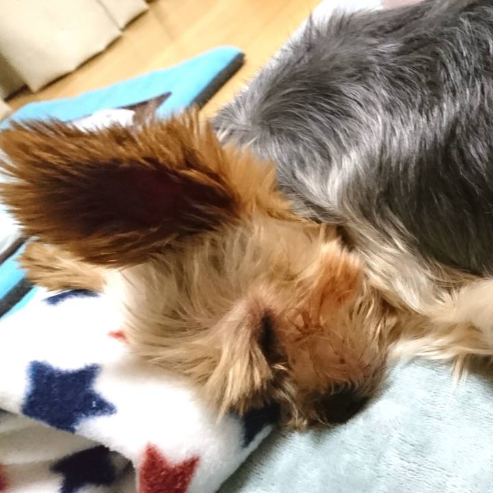 41e4596d a470 46bc 89c9 908e026de1f5 1534419010282