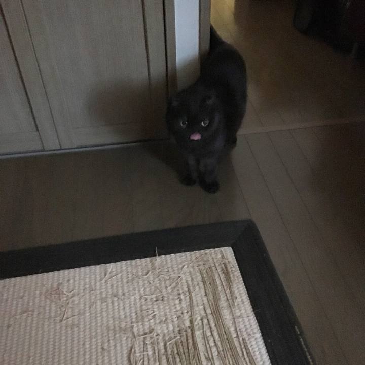 41e46350 6305 49ff 92aa ef462f52806a 1511474158467