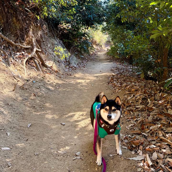 41e46ebf a061 4ce4 80c8 d101eedcf08e 1768049166107