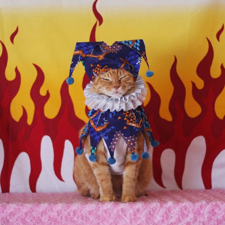 41e4798b 24d4 4d63 b837 84e1d48429a7 1696339087072