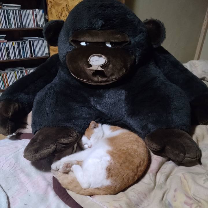 41e4940d 1c47 41b2 a10c 7be72efc3a79 1768555696978