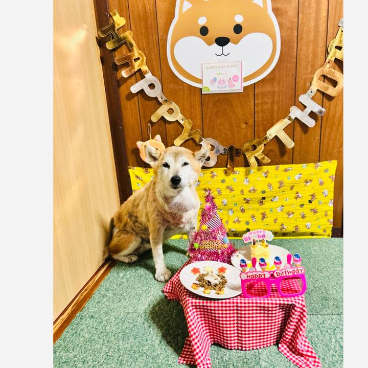 41e49f7d 0f18 4f1d 85ff 9995833f19ac 1762787346562