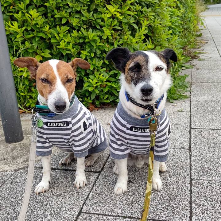 41e4c14b 55c2 4fed b1c0 0677fa899324 1684709265709