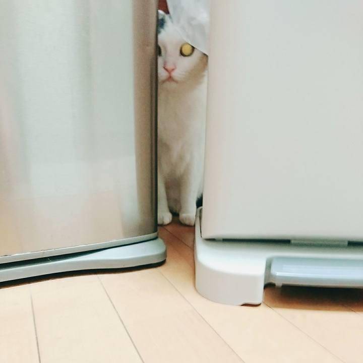 41e4f426 f784 4317 a241 095835fb83b5 1511342950613