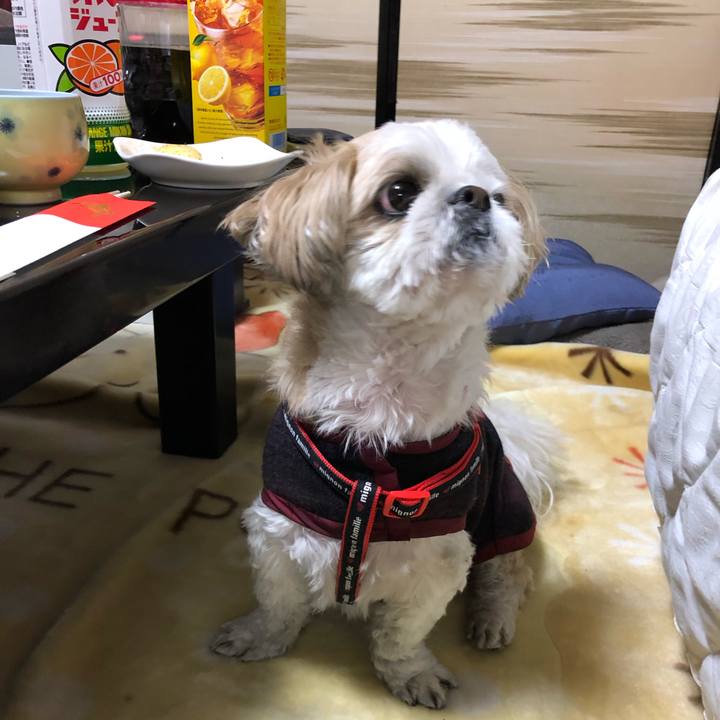 41e53514 50a7 4788 b384 a730d4a321b8 1546476534831