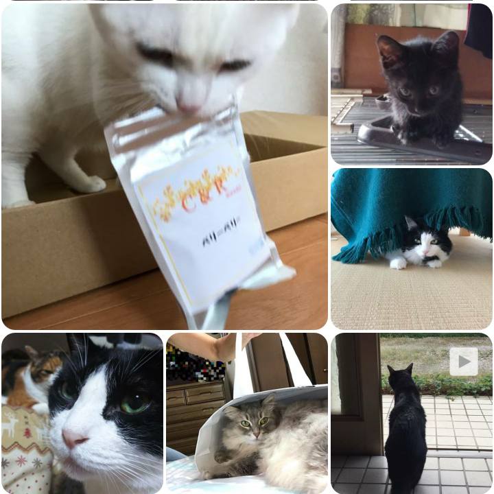 41e5658c d546 4a79 9acb 91f1b81830f3 1568067288520