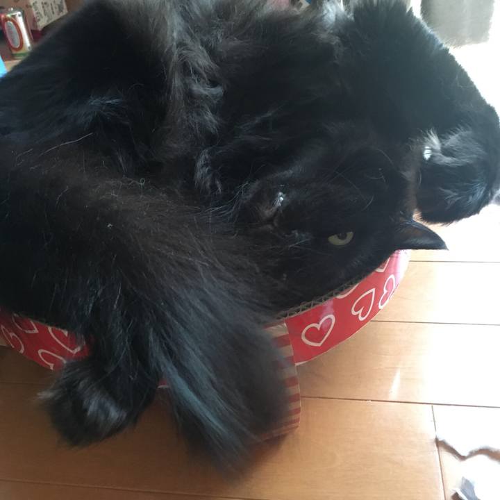 41e56dda a862 4239 bd2a 076b79594366 1533634063587