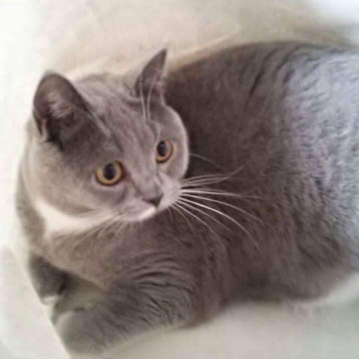 41e5acae 5236 4b9e 8f1d 682130137baa 1550843764586